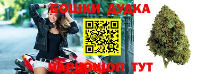 молекула духа Пугачёв