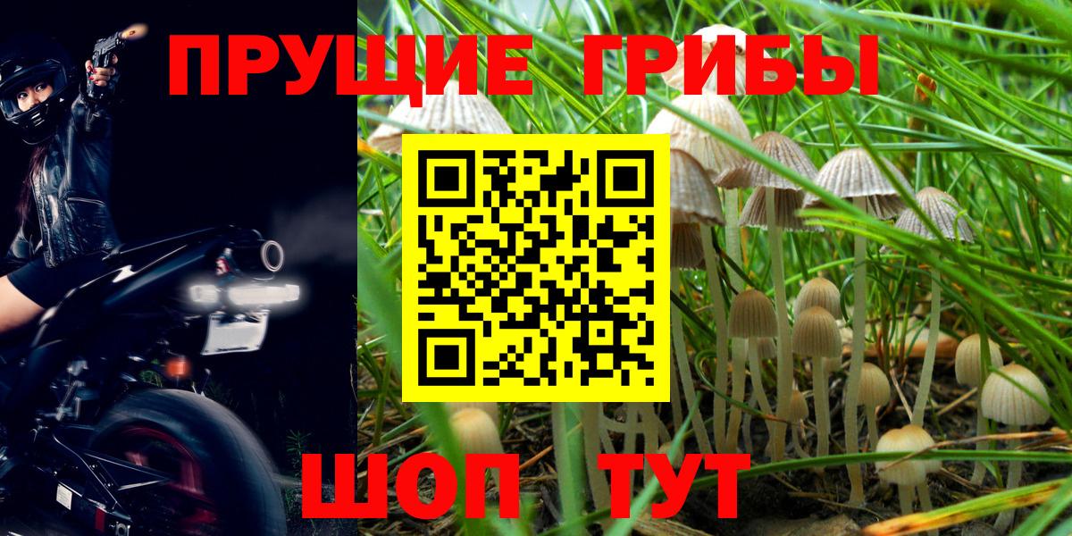 Галлюциногенные грибы Cubensis Рассказово
