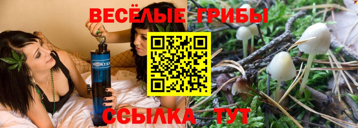 Рассказово  Псилоцибиновые грибы Psilocybine cubensis  Вход с VPN 